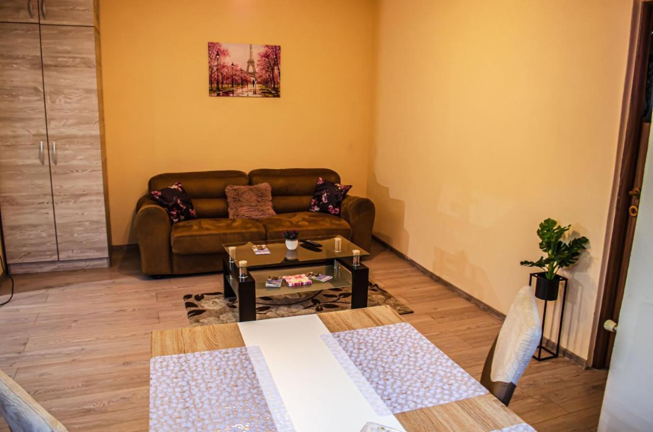 Schaessburg Apartment #1 Segesvár Kültér fotó